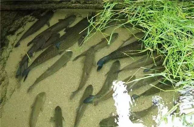 2107243125708505088_1280px.jpg