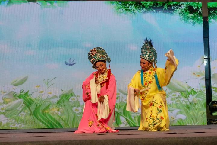油菜花儿开乡村产业兴乐清虹桥镇峃前村奏响春的乐章