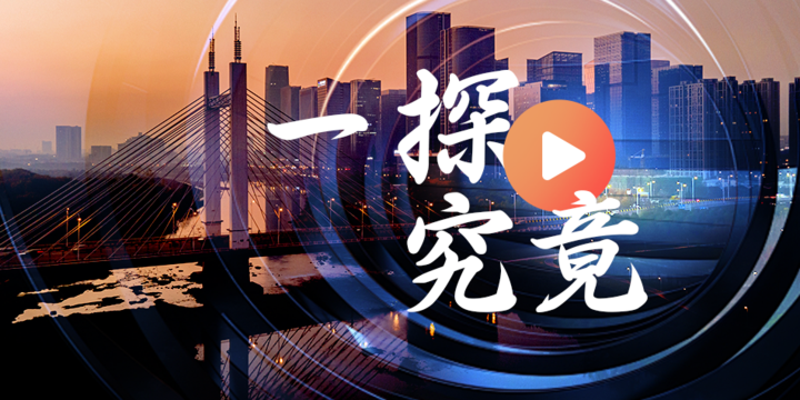 一探究竟